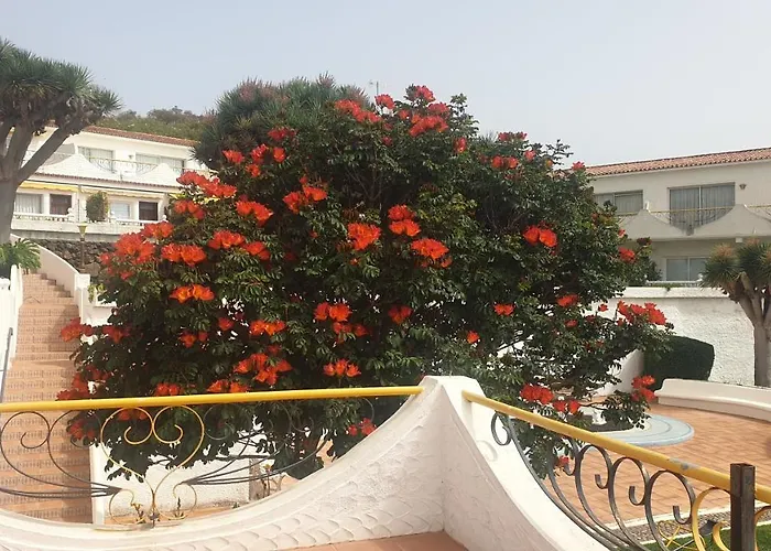 Madre Tierra Apartman Puerto de la Madera