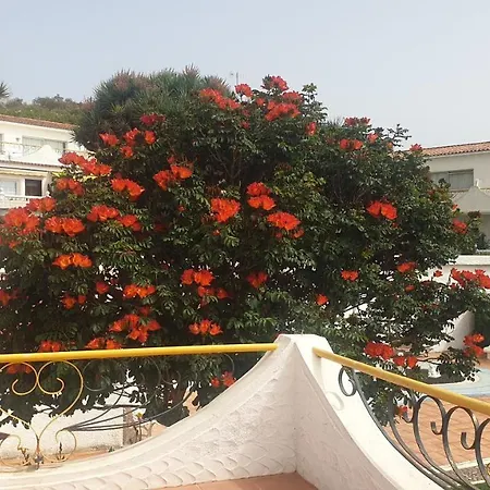 Madre Tierra Apartman Puerto de la Madera